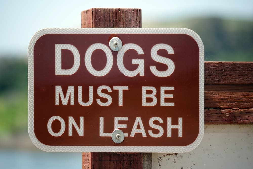 DOGS MUST BE ON LEASH sign