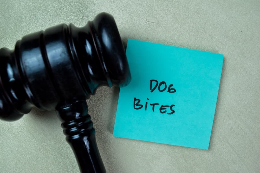 dog bite compensation claim