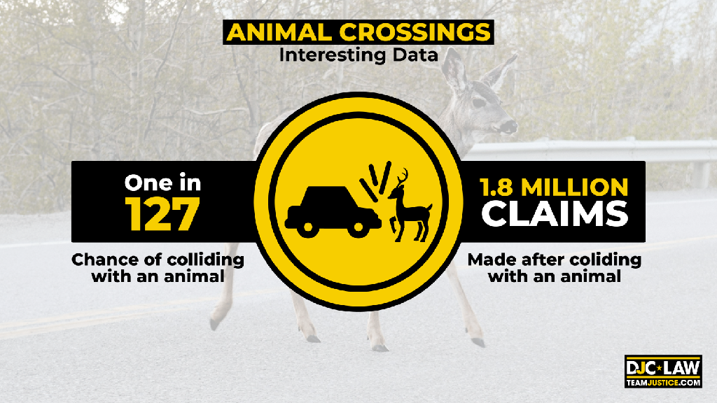 A visual representation of intriguing data related to animal crossings, showcasing various statistics and insights.