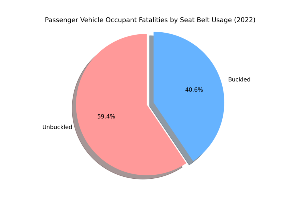 2024 Seat Belt Statistics